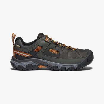 KEEN Férfi Targhee EXP Waterproof Túracipő Sötét Szürke